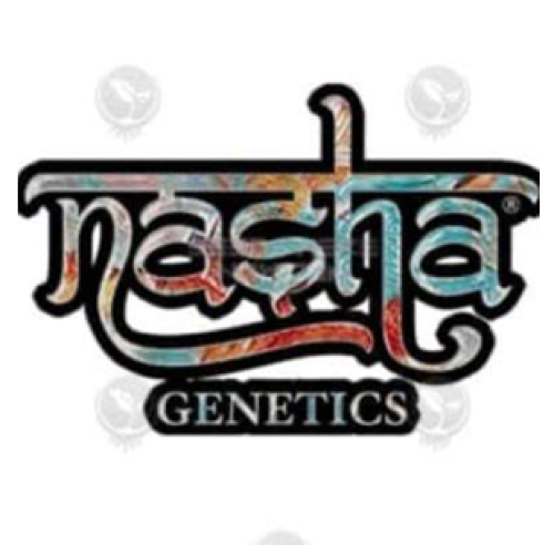 nasha_genetics.fw